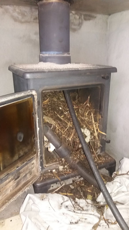multi fuel burner full of bird nest material